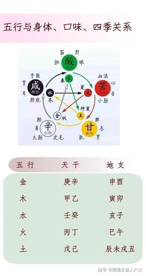 植物五行|植物五行及其划分